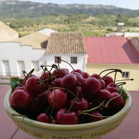 Els Temporers Apartmán *